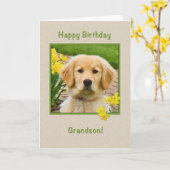 Geburtstag, Enkel, golden retriever-Hund Karte (Gelbe Blume)
