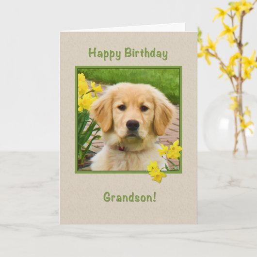 Geburtstag, Enkel, golden retriever-Hund Karte (Gelbe Blume)