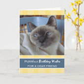 Geburtstag für Freunde, Katze im Wäschetrockner Karte (Gelbe Blume)