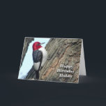Geburtstag für Husband Hubby, Red-Head Woodpecker Karte<br><div class="desc">Auf dieser lustigen Geburtstagskarte (BIRDday) für einen Ehemann (hubby) wird ein roter Woodpecker vorgestellt.</div>