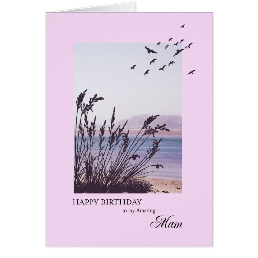 Geburtstag für Mam, Szene am Meer (Vorne)