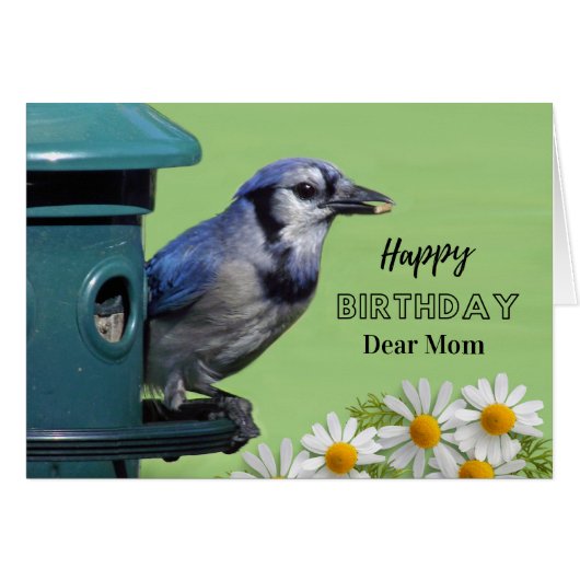 Geburtstag für Mama Blauhäher am Vogelfutterhäusch (Vorderseite (Horizontal))
