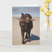 Geburtstag für Sie Karte (Gelbe Blume)