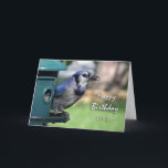 Geburtstag für Sister, Blue Jay bei Bird Feeder Karte<br><div class="desc">Auf dieser Geburtstagskarte für eine Schwester steht eine Blue Jay an einem Vogelzuführung. Eine tolle Karte für den Vogelbeobachter in der Familie. Bild und Vers Copyright © 2014,  Shoaff Ballanger Studios.</div>
