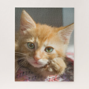 GEBURTSTAG GINGERKATZE KÄTZCHEN PUZZLE
