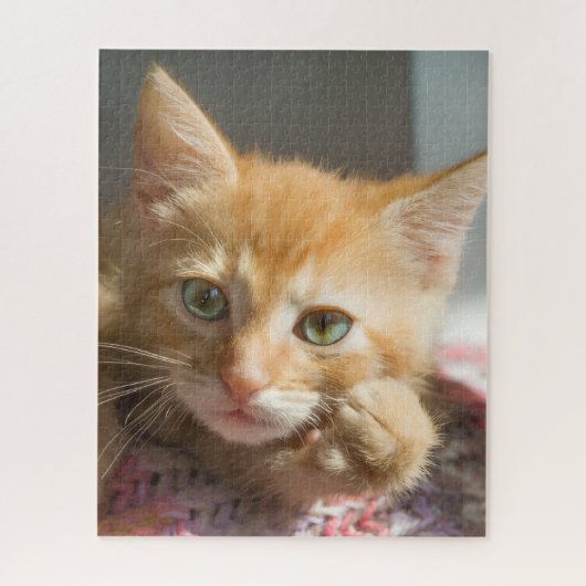 GEBURTSTAG GINGERKATZE KÄTZCHEN  PUZZLE (Vertikal)