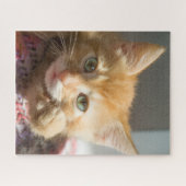 GEBURTSTAG GINGERKATZE KÄTZCHEN  PUZZLE (Horizontal)