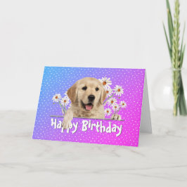 Geburtstag Golden Retriever auf Polka Dots Karte