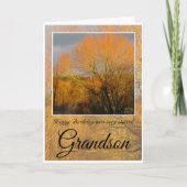 Geburtstag Grandson, Sunkissed Winter Bäume. Karte (Vorderseite)