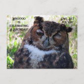 Geburtstag Große Horned Owl Postkarte (Vorderseite)