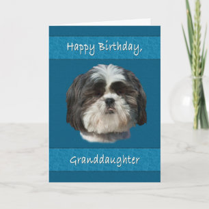 Geburtstag, Großtochter, Shih Tzu Dog Karte