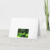 Geburtstag - Grüne Karte (Rückseite)