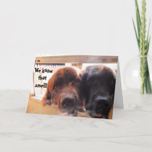 Geburtstag Gruß ~ Hunde Humor Karte
