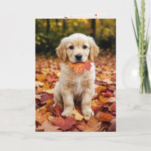 Geburtstag Herbst Golden Retriever Welpe Karte