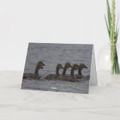 Geburtstag - kanadische Gänse Karte (Rückseite)