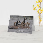 Geburtstag - kanadische Gänse Karte (Gelbe Blume)