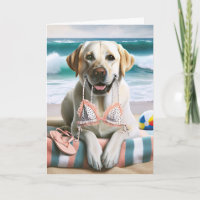 Geburtstag Labrador Retriever mit Bikini Top