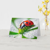 Geburtstag Ladybug auf 4 Leaf Klee Karte (Gelbe Blume)