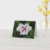 Geburtstag - Magentarot-klein Karte (Gelbe Blume)