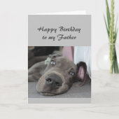 Geburtstag meines Vaters Spaß Hund Relax Spaß Karte (Vorderseite)