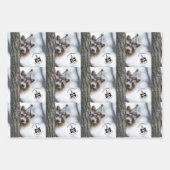 Geburtstag Mischief: Adorable Raccoon-Feier Geschenkpapier Set (Vorderseite 3)