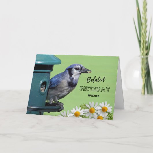 Geburtstag mit Blue Jay am Feeder Karte (Vorderseite)
