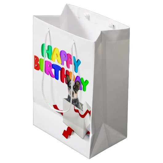 Geburtstag Mittlere Geschenktüte (Vorderseite Schrägansicht)