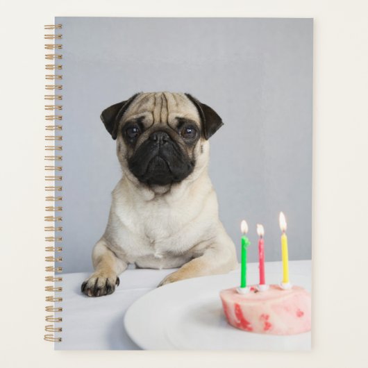 Geburtstag Mops Planer (Vorderseite)