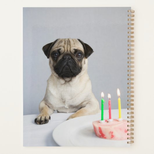 Geburtstag Mops Planer (Rückseite)