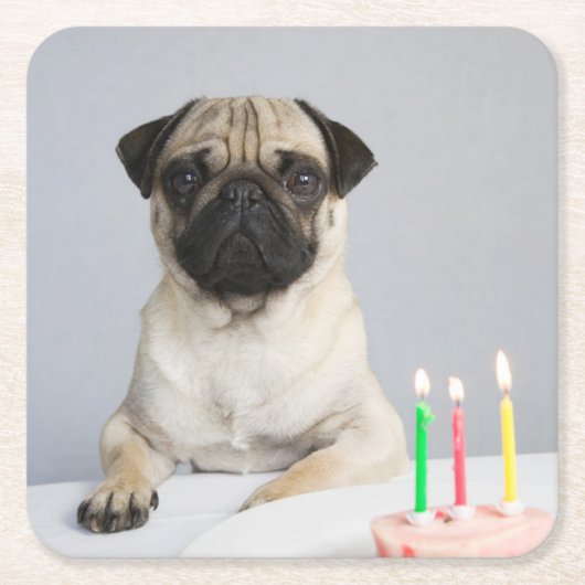 Geburtstag Mops Rechteckiger Pappuntersetzer (Vorderseite)