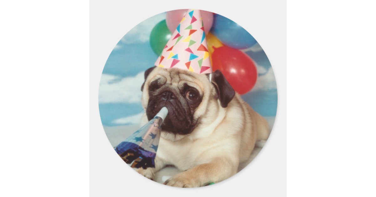 Geburtstag Mops Stickers Zazzle.de