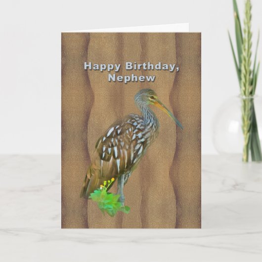 Geburtstag, Nephew, Limpkin Marsh Bird Karte (Vorderseite)