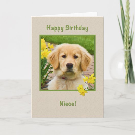 Geburtstag, Nichte, golden retriever-Hund, Karte (Vorderseite)