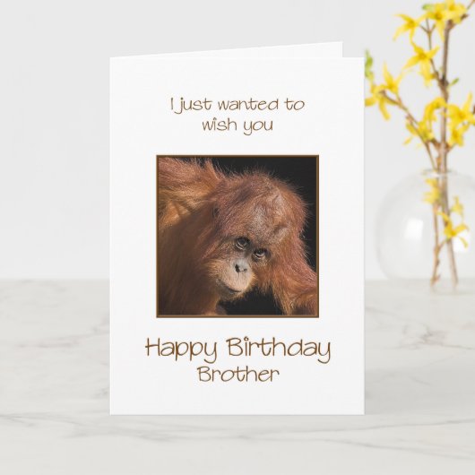 Geburtstag, Orang Utan Karte (Gelbe Blume)