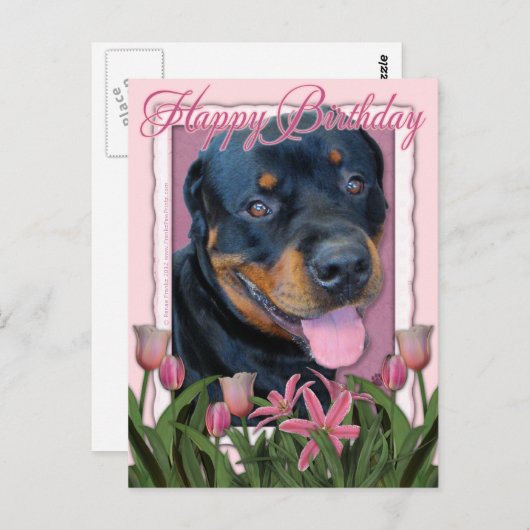 Geburtstag - Pink Tulips - Rottweiler - Harley Postkarte (Vorne/Hinten)