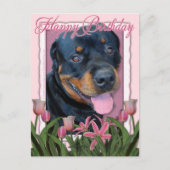 Geburtstag - Pink Tulips - Rottweiler - Harley Postkarte (Vorderseite)