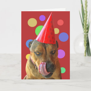 Geburtstag Pit Bull Niedlicher Hund mit Party Hat Karte