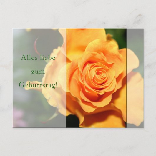 Geburtstag Postkarte (Vorderseite)