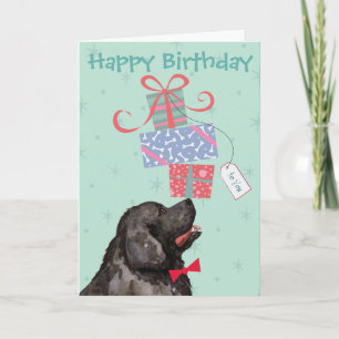 Geburtstag präsentiert Neufundland-Karte Karte