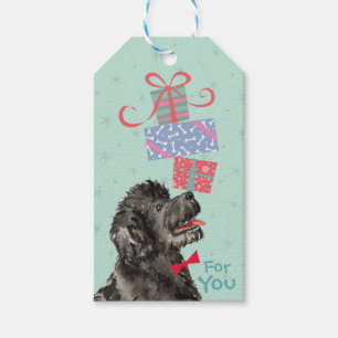 Geburtstag präsentiert portugiesische Wasser-Hunde Geschenkanhänger