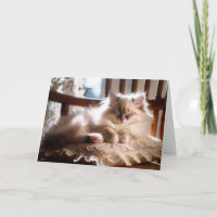Geburtstag Ragdoll Kitten auf Kissen