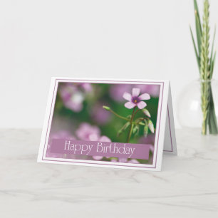 Geburtstag - rosa hölzerner Sauerampfer-Gruß-Karte Karte