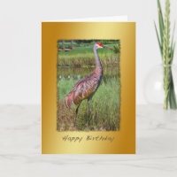 Geburtstag, Sandhill Kran-Vogel