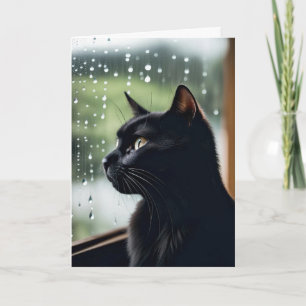 Geburtstag Schwarze Katze im regnerischen Fenster Karte