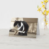Geburtstag, Schwarze N Weiße Katze Karte (Gelbe Blume)