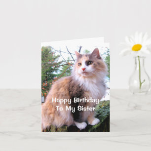 Geburtstag Schwester Dreifarbige Katze Karte