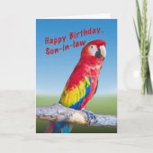 Geburtstag, Schwiegersohn, Macaw Parrot Karte (Vorderseite)