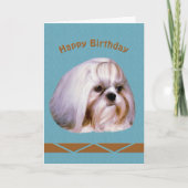 Geburtstag, Shih Tzu Dog Karte (Vorderseite)