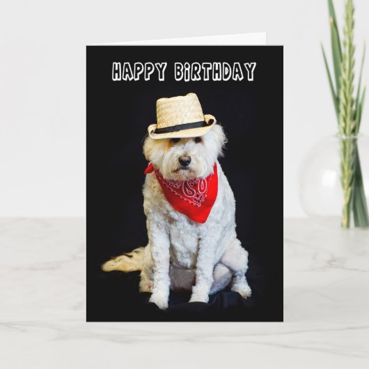 GEBURTSTAG - SPASS - HUND/KUWBOY HAT UND SARF KARTE (Vorderseite)
