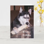 Geburtstag Spaß Husky Füllen Sie den Tag Karte (Gelbe Blume)